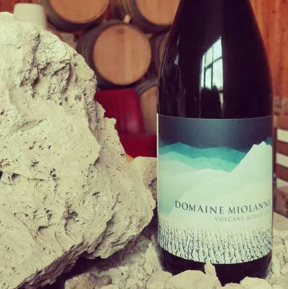 Chardonnay – Domaine Miolanne - Vins Rouges Harmonieux pour Chaque Occasion Chardonnay – Domaine Miolanne - Vins Rouges Harmonieux pour Chaque Occasion
