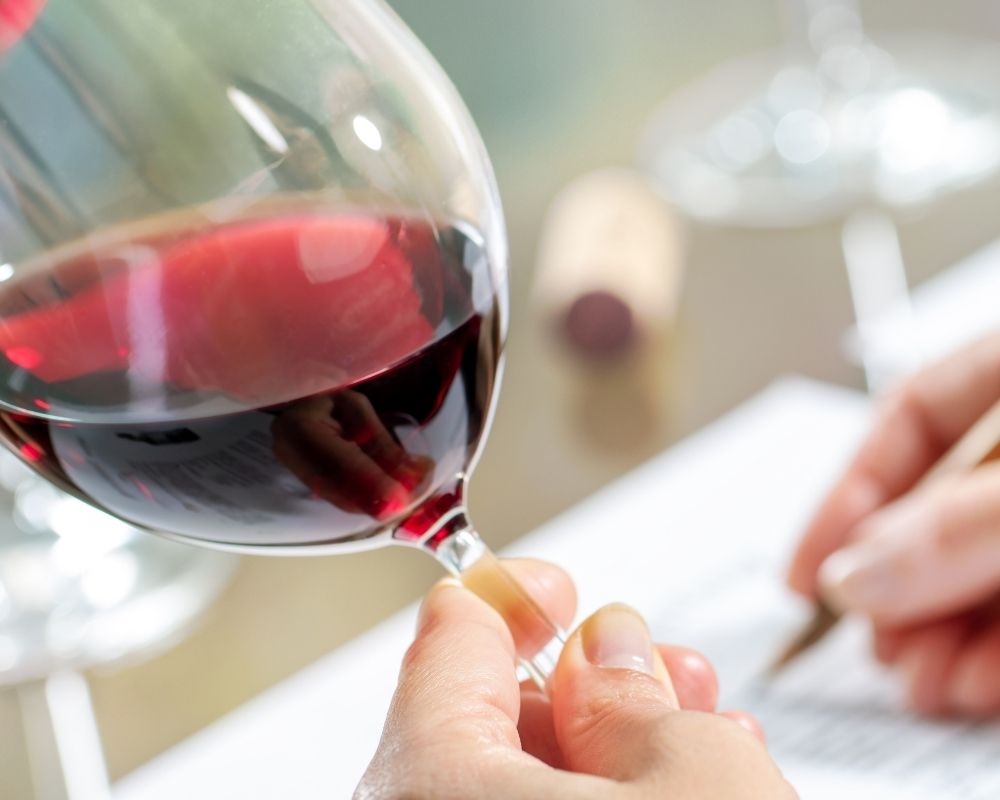 Beginner level in Wine in English in Marseille – LTE Certification - Vins Rouges Harmonieux pour Chaque Occasion Beginner level in Wine in English in Marseille – LTE Certification - Vins Rouges Harmonieux pour Chaque Occasion