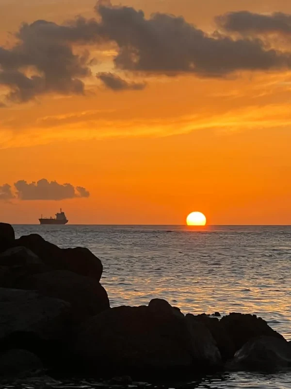 Balade privatisée en mer au coucher de soleil - Vins Rouges Harmonieux pour Chaque Occasion