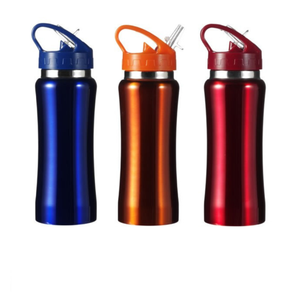 Bouteille Isotherme 0,50 L – Réf. PGIV5233 - Vins Rouges Harmonieux pour Chaque Occasion