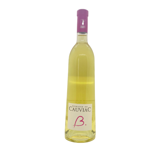 BLANC MOELLEUX CUVEE B – 75 CL - Vins Rouges Harmonieux pour Chaque Occasion