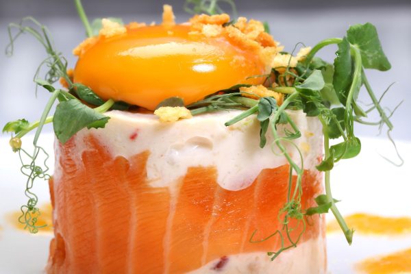 Buffet jour de fêtes – Anniversaire - Vins Rouges Harmonieux pour Chaque Occasion