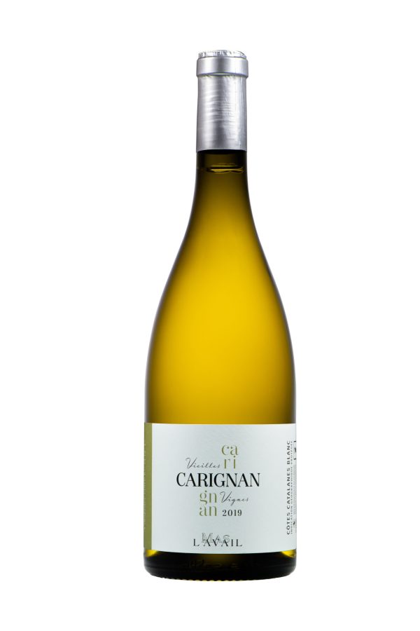 BIENTÔT! Carignan Blanc 2025 - Vins Rouges Harmonieux pour Chaque Occasion