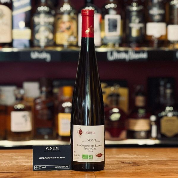 Bursin Pinot Gris La Colline des Roches 2024 - Vins Rouges Harmonieux pour Chaque Occasion
