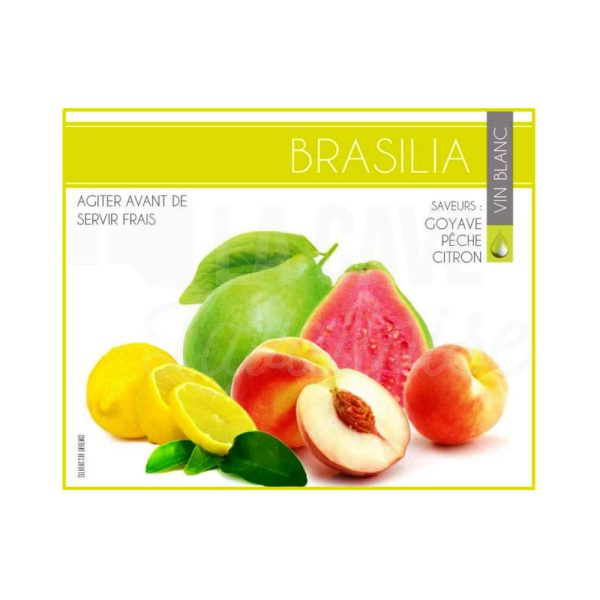 BRASILIA 12° – 5 LITRES – Goyave, Pêche, Citron - Vins Rouges Harmonieux pour Chaque Occasion