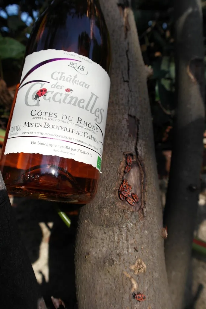 Château des Coccinelles | rosé - Vins Rouges Harmonieux pour Chaque Occasion Château des Coccinelles | rosé - Vins Rouges Harmonieux pour Chaque Occasion