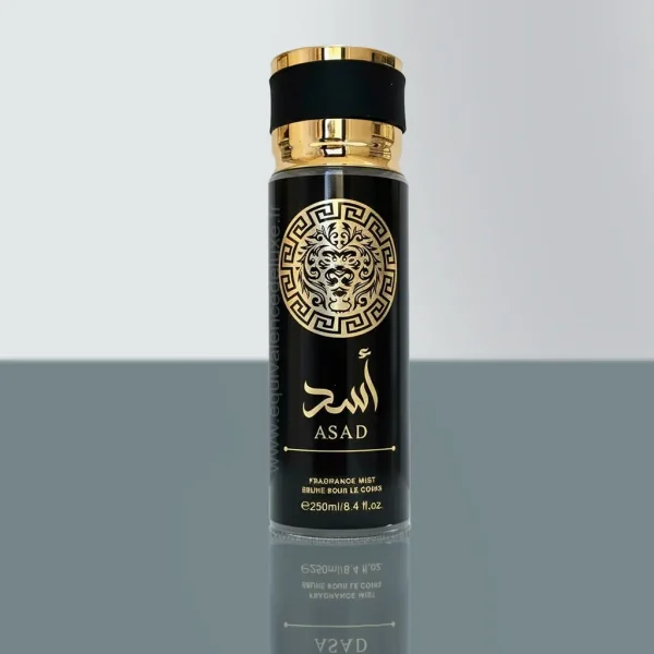Brume ASAD – Brume Corporelle Orientale Pour Homme 250 ml - Vins Rouges Harmonieux pour Chaque Occasion