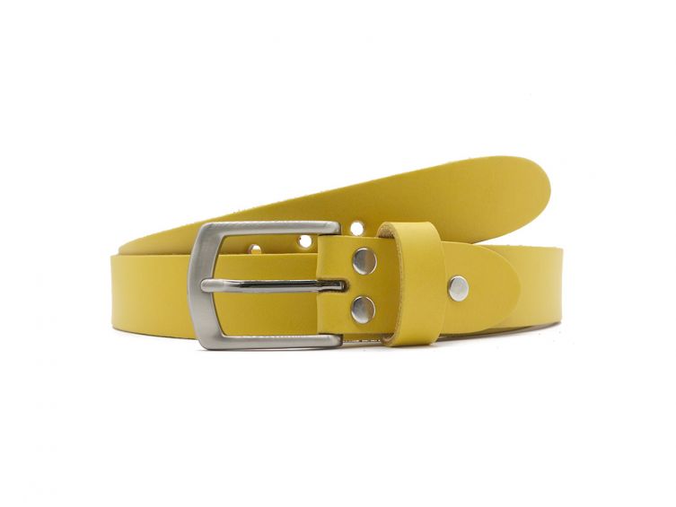 Ceinture la guêpe en cuir jaune 1053 Choisir - Vins Rouges Harmonieux pour Chaque Occasion Ceinture la guêpe en cuir jaune 1053 Choisir - Vins Rouges Harmonieux pour Chaque Occasion