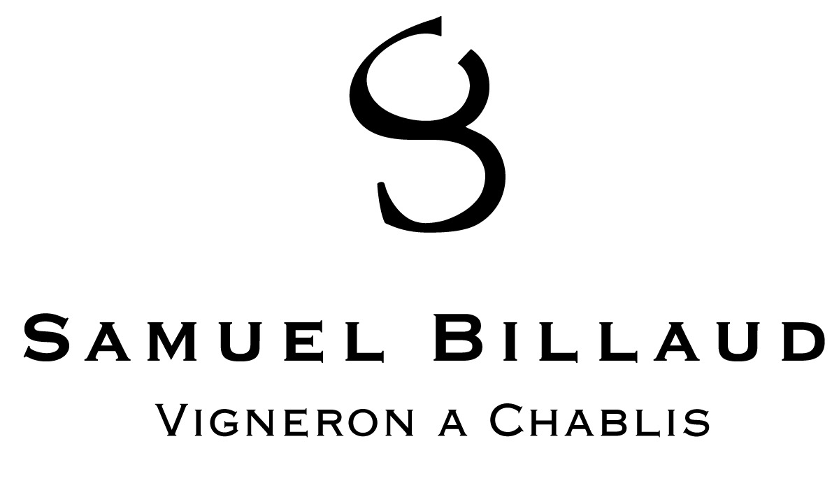 Chablis Grand Cru « Les Blanchots » 2016 - Vins Rouges Harmonieux pour Chaque Occasion Chablis Grand Cru « Les Blanchots » 2016 - Vins Rouges Harmonieux pour Chaque Occasion