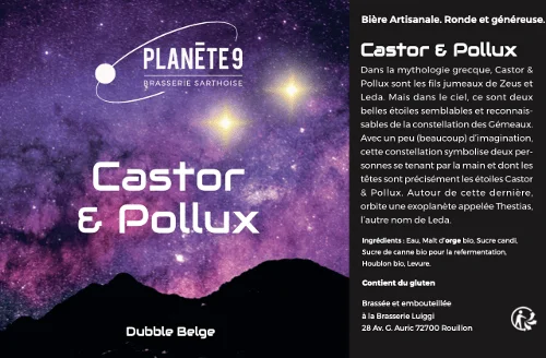Castor & Pollux – 0.33L - Vins Rouges Harmonieux pour Chaque Occasion Castor & Pollux – 0.33L - Vins Rouges Harmonieux pour Chaque Occasion