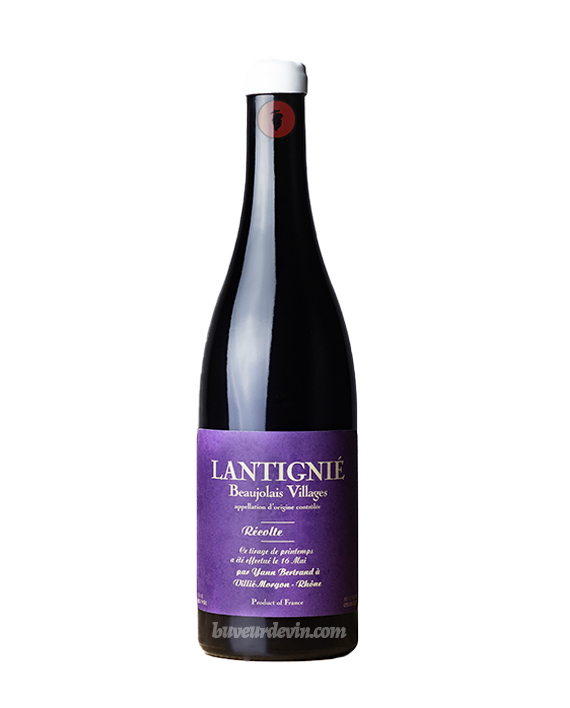 Bertrand (Yann) – Lantignié 2023 - Vins Rouges Harmonieux pour Chaque Occasion