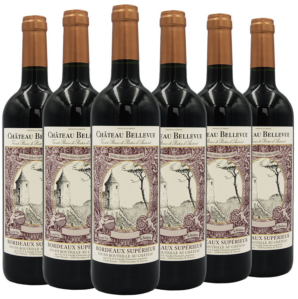 Château Bellevue – Bordeaux Supérieur – Magnum (x6) - Vins Rouges Harmonieux pour Chaque Occasion Château Bellevue – Bordeaux Supérieur – Magnum (x6) - Vins Rouges Harmonieux pour Chaque Occasion