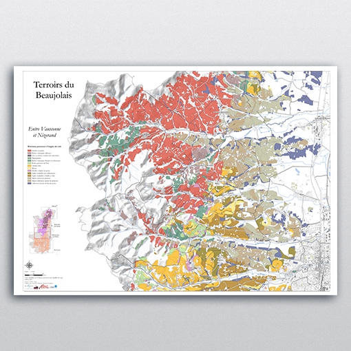 Carte des sols « Entre Vauxonne et Nizerand » - Vins Rouges Harmonieux pour Chaque Occasion Carte des sols « Entre Vauxonne et Nizerand » - Vins Rouges Harmonieux pour Chaque Occasion