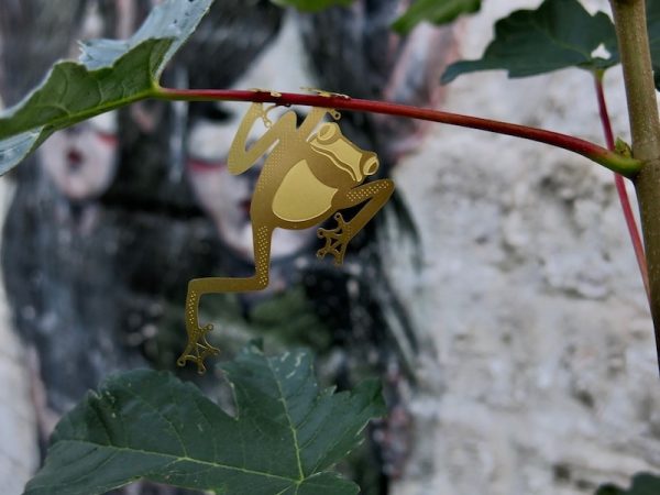 Bijoux de Plantes – La Grenouille - Vins Rouges Harmonieux pour Chaque Occasion