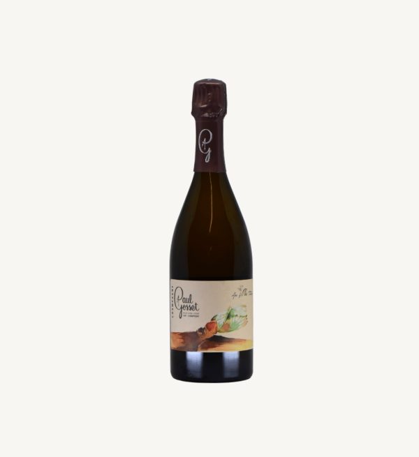 Champagne “Au Fil des Temps Printemps” - Vins Rouges Harmonieux pour Chaque Occasion