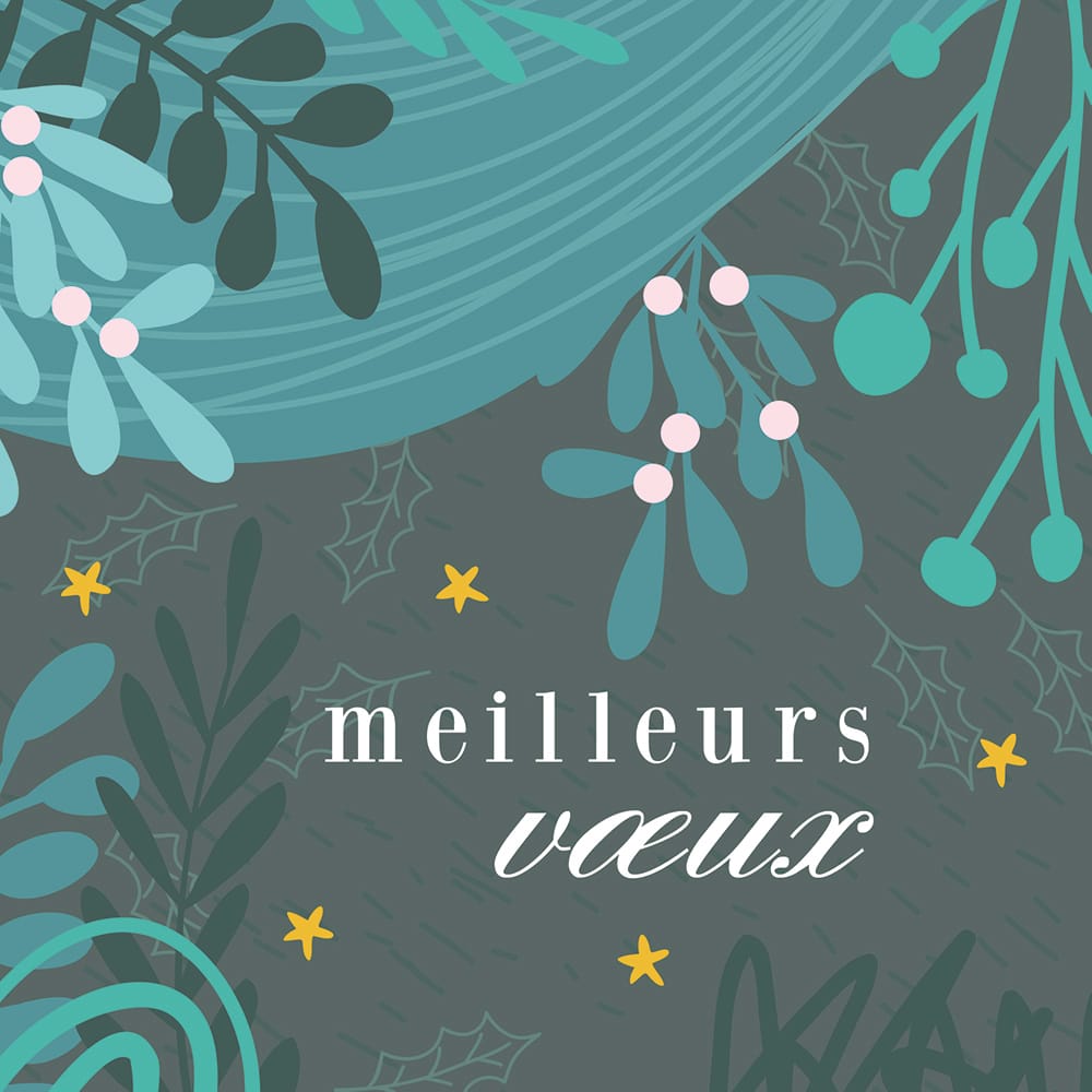Carte Meilleurs vœux verte N°3 - Vins Rouges Harmonieux pour Chaque Occasion Carte Meilleurs vœux verte N°3 - Vins Rouges Harmonieux pour Chaque Occasion