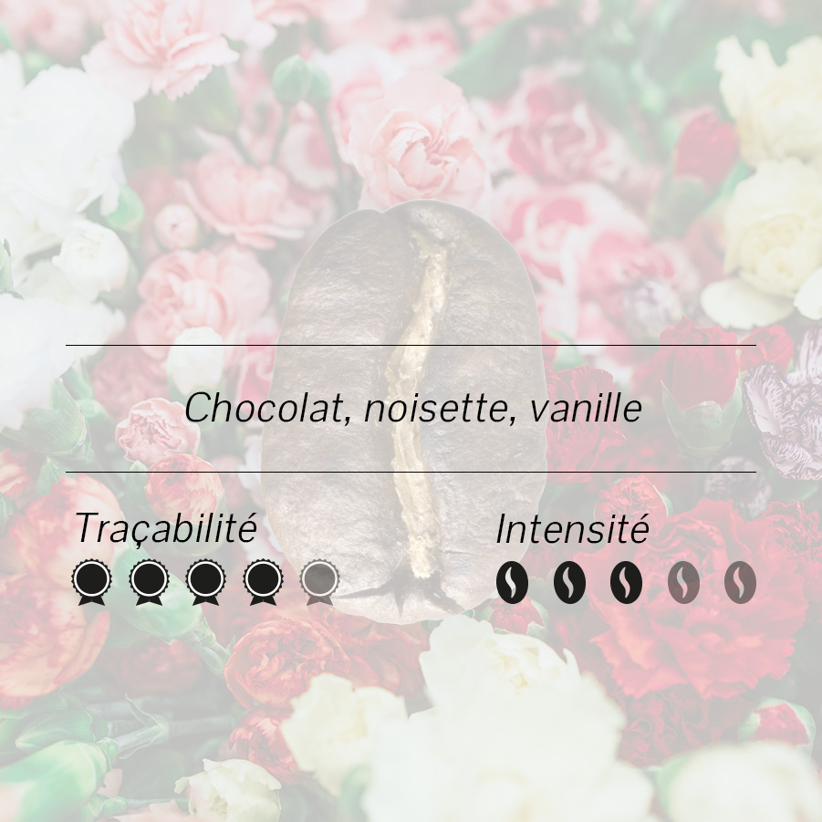 Café de la Fête des Mères - Vins Rouges Harmonieux pour Chaque Occasion Café de la Fête des Mères - Vins Rouges Harmonieux pour Chaque Occasion