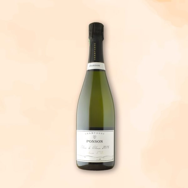 Champagne Blanc de blancs - Vins Rouges Harmonieux pour Chaque Occasion
