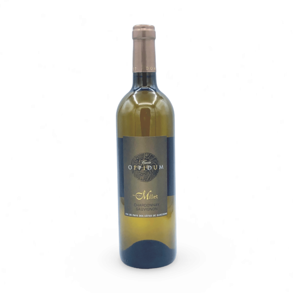 CHATEAU MILLET OPPIDUM COTES DE GASCOGNE 2023 - Vins Rouges Harmonieux pour Chaque Occasion