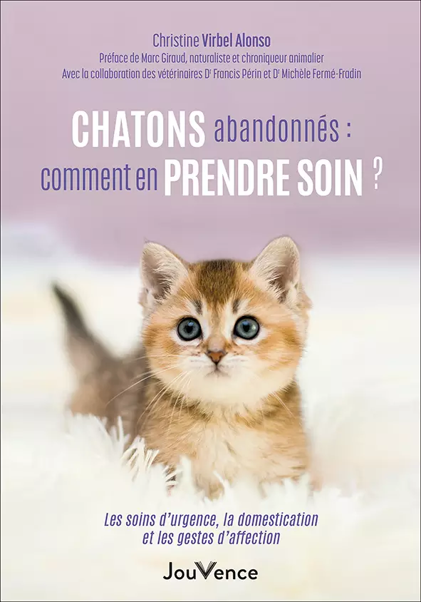 Chatons abandonnés: comment en prendre soin ? - Vins Rouges Harmonieux pour Chaque Occasion Chatons abandonnés: comment en prendre soin ? - Vins Rouges Harmonieux pour Chaque Occasion