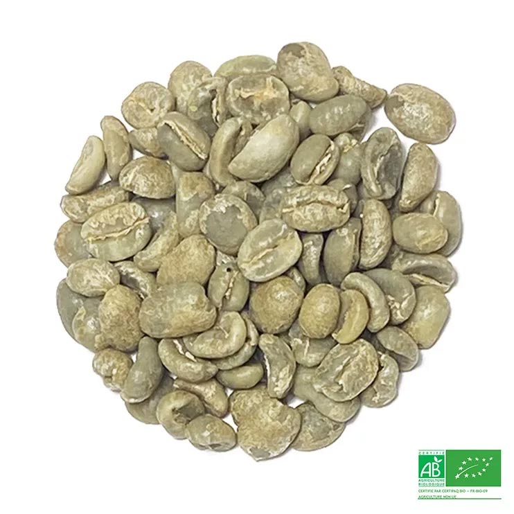 Café vert Guatemala – Huehuetenango – Quetzalito BIO - Vins Rouges Harmonieux pour Chaque Occasion Café vert Guatemala – Huehuetenango – Quetzalito BIO - Vins Rouges Harmonieux pour Chaque Occasion